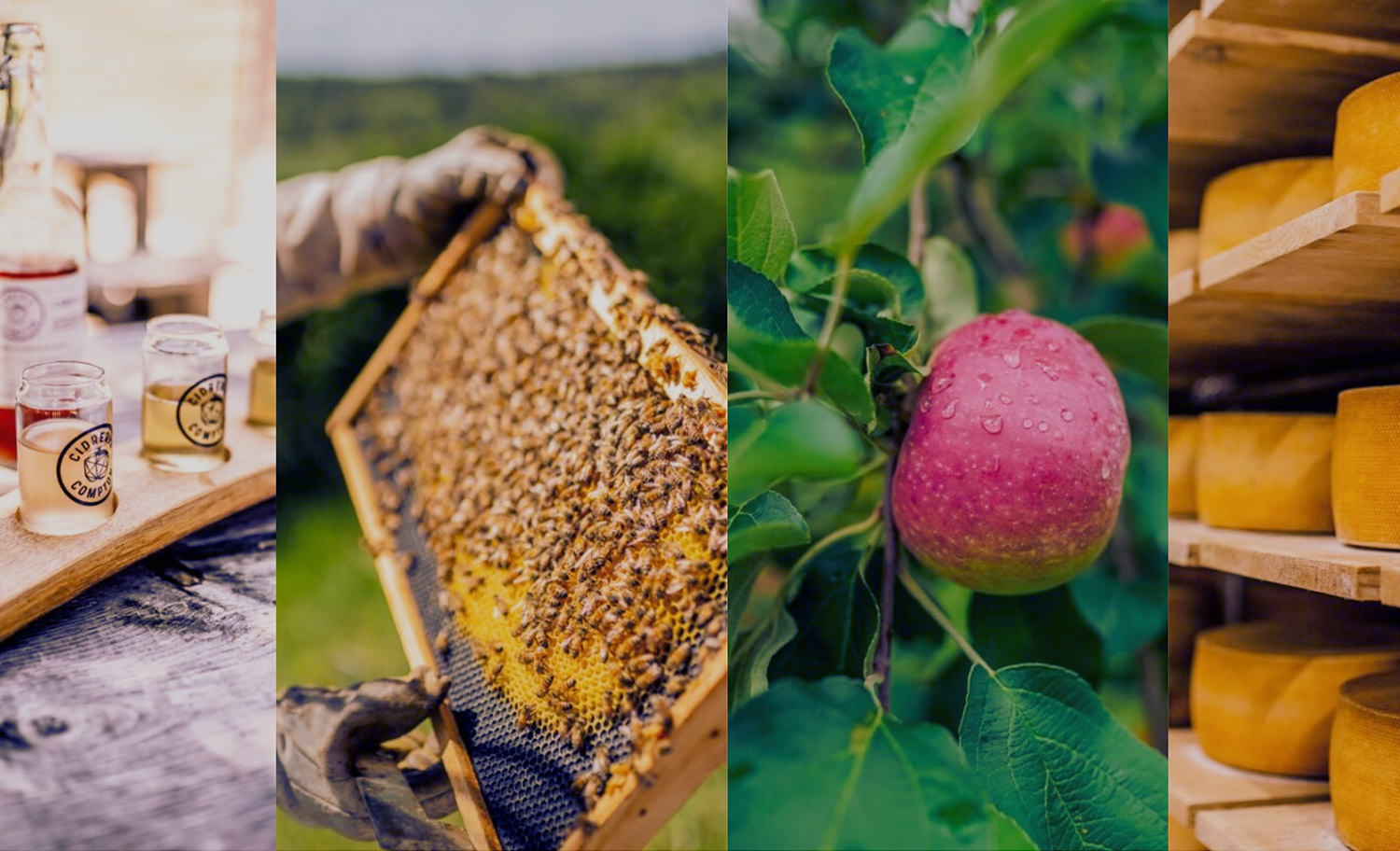 Agrotourisme Cantons-de-l'Est Microbrasseries Bières Cidreries et Plus