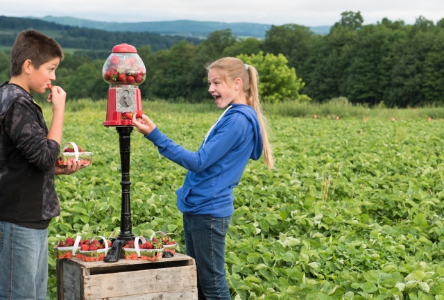 Vallée des grands potagers