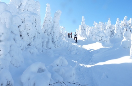 Mont Hereford : Snowshoe